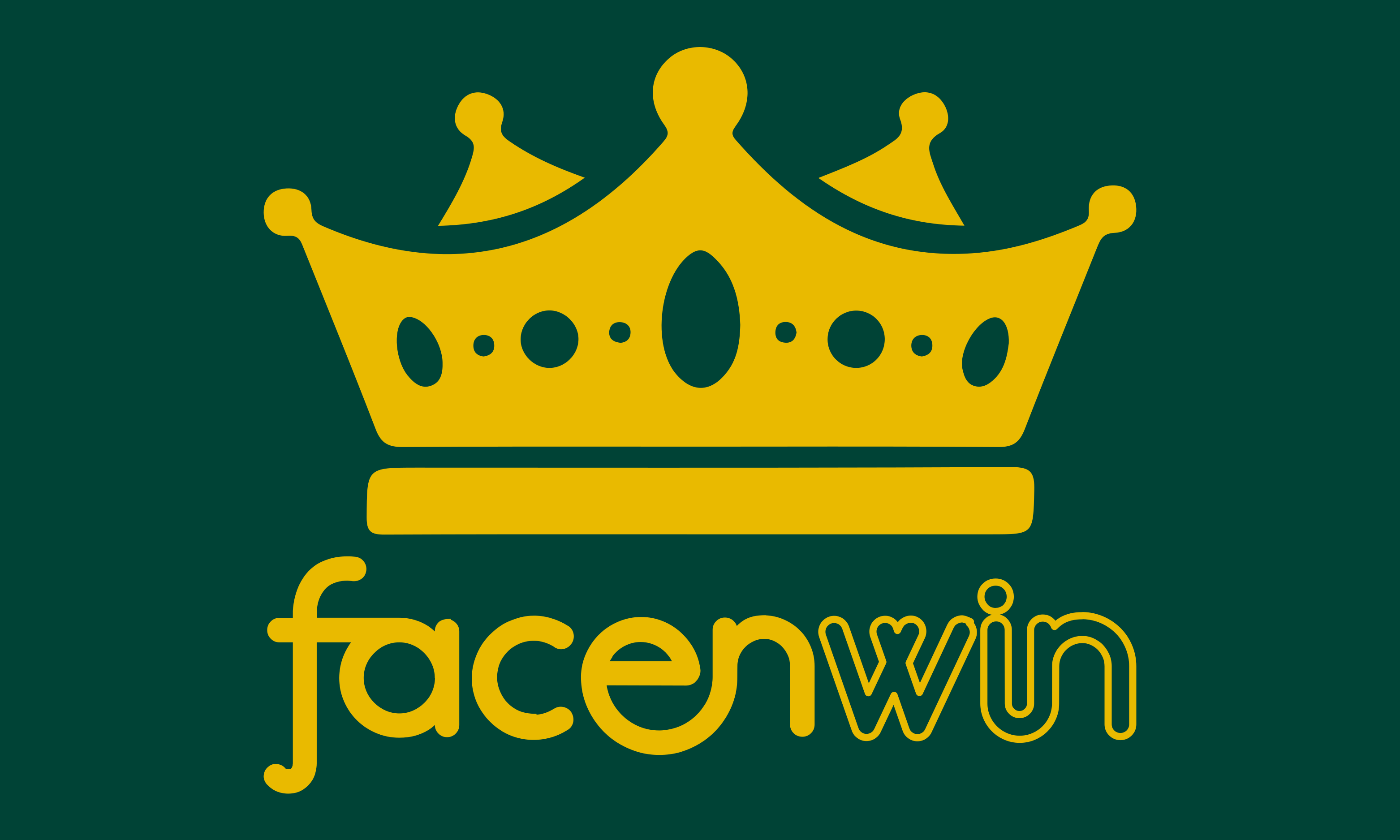 FacenWin FacenWin